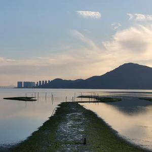 欧美大荫道大屁股XXXⅩ图片
